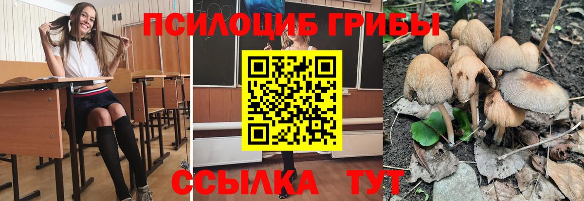 Галлюциногенные грибы MAGIC MUSHROOMS  Вход с VPN  Бузулук 
